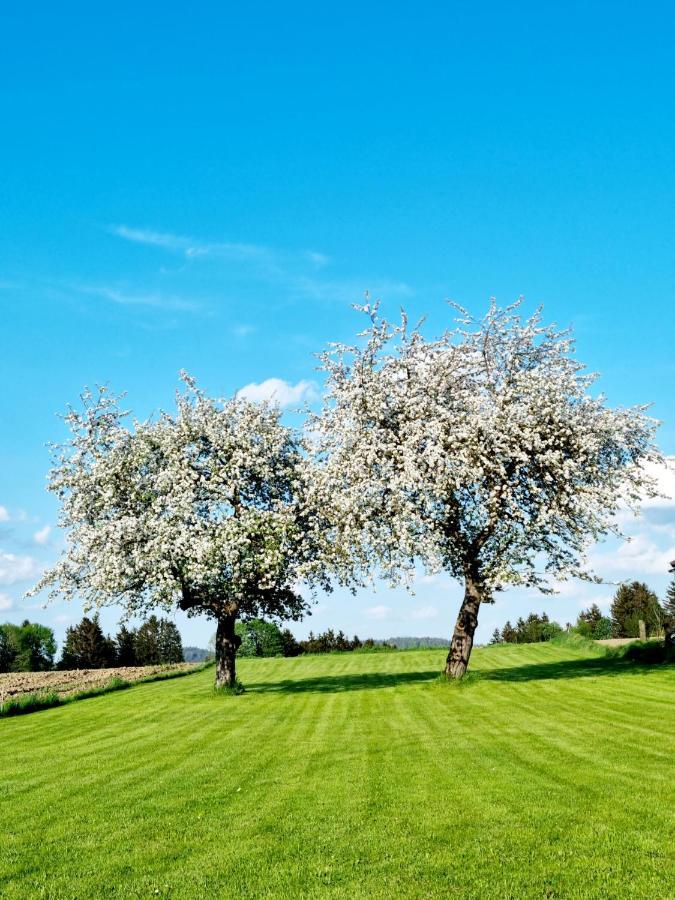 Ferienhaus Ritzmais Bischofsmais Esterno foto