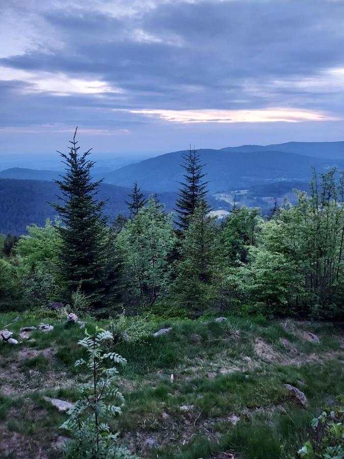 Ferienhaus Ritzmais Bischofsmais Esterno foto