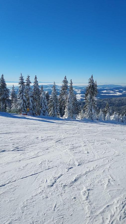 Ferienhaus Ritzmais Bischofsmais Esterno foto